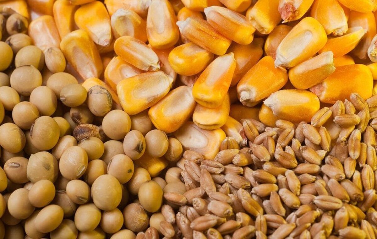 باشگاه خبرنگاران -وضعیت مطلوب ذخایر کالاهای اساسی کشور