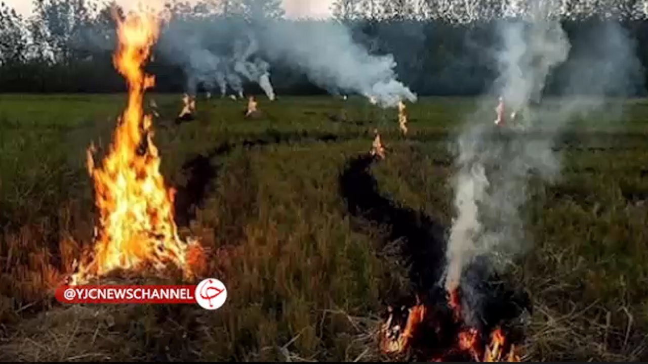 هشدار جهادکشاورزی بابل به آتش‌زنندگان کاه و کلش + فیلم