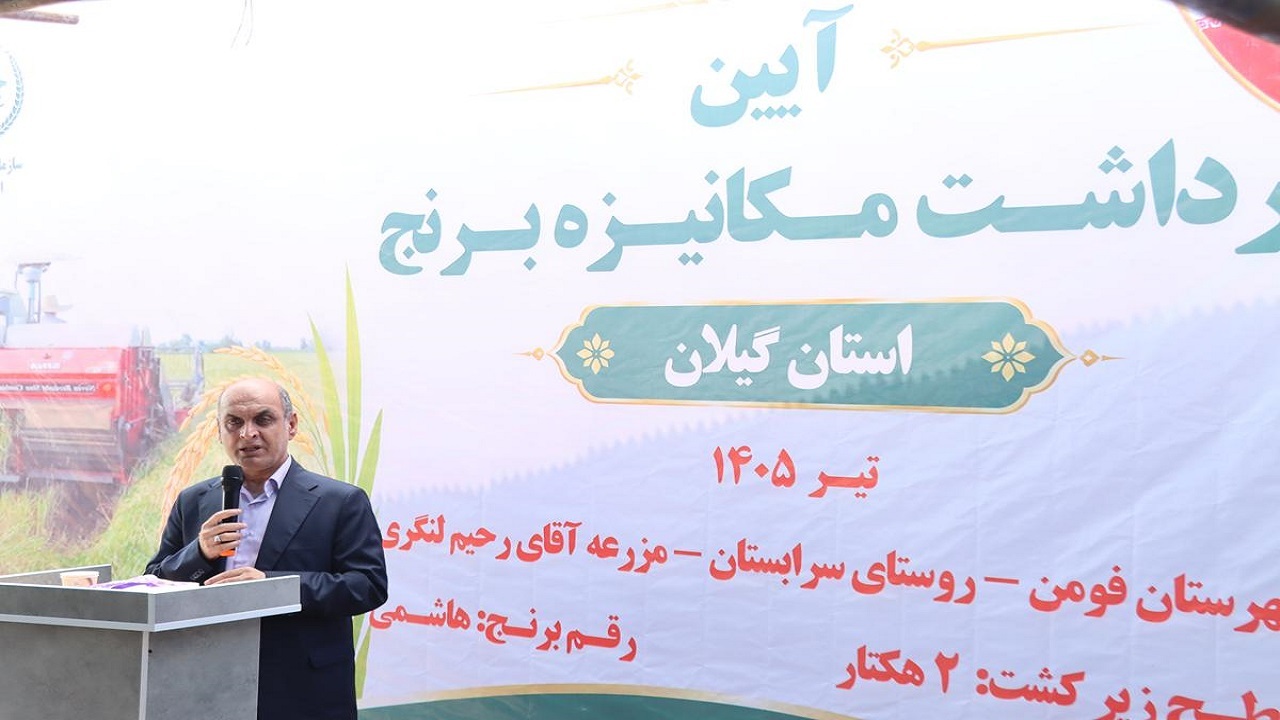 افزایش بهره‌وری؛ راه اقتصادی شدن تولید برنج