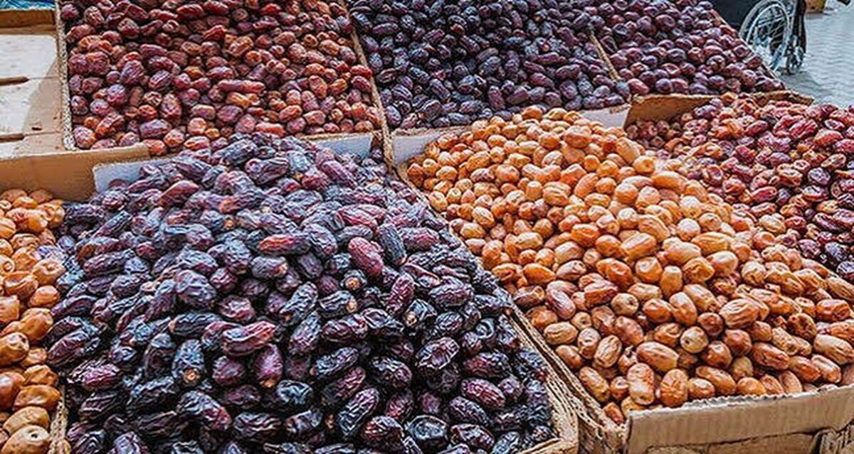 باشگاه خبرنگاران -لغو ممنوعیت صادرات خرما