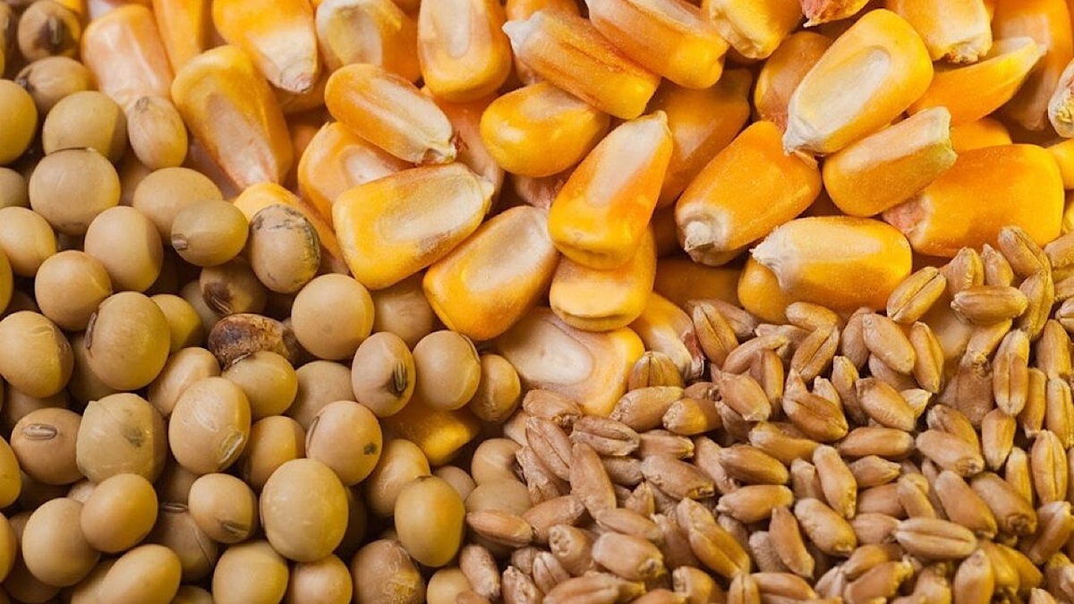 باشگاه خبرنگاران -مطالبات ارزی واردکنندگان ۴ میلیارد یورو است