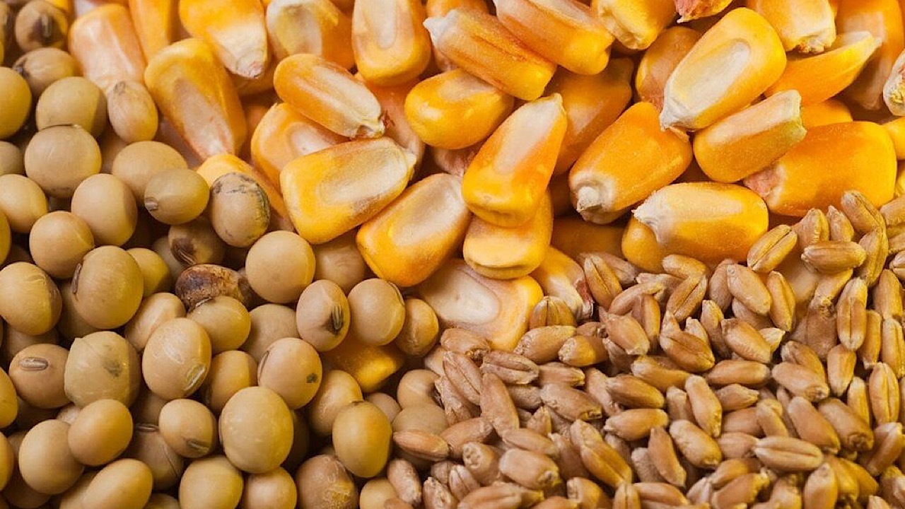 مطالبات ارزی واردکنندگان ۴ میلیارد یورو است