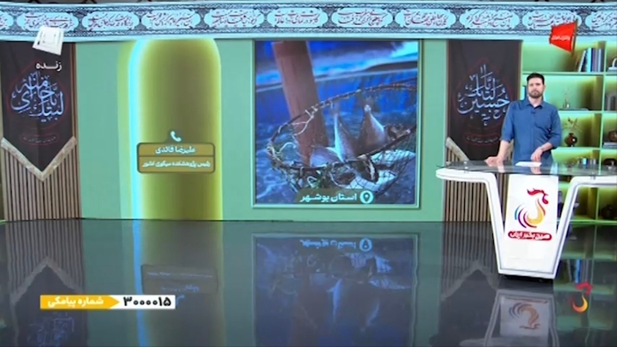 باشگاه خبرنگاران -افرادی که به پرورش میگو علاقه‌مند هستند باید چه کنند؟ + فیلم