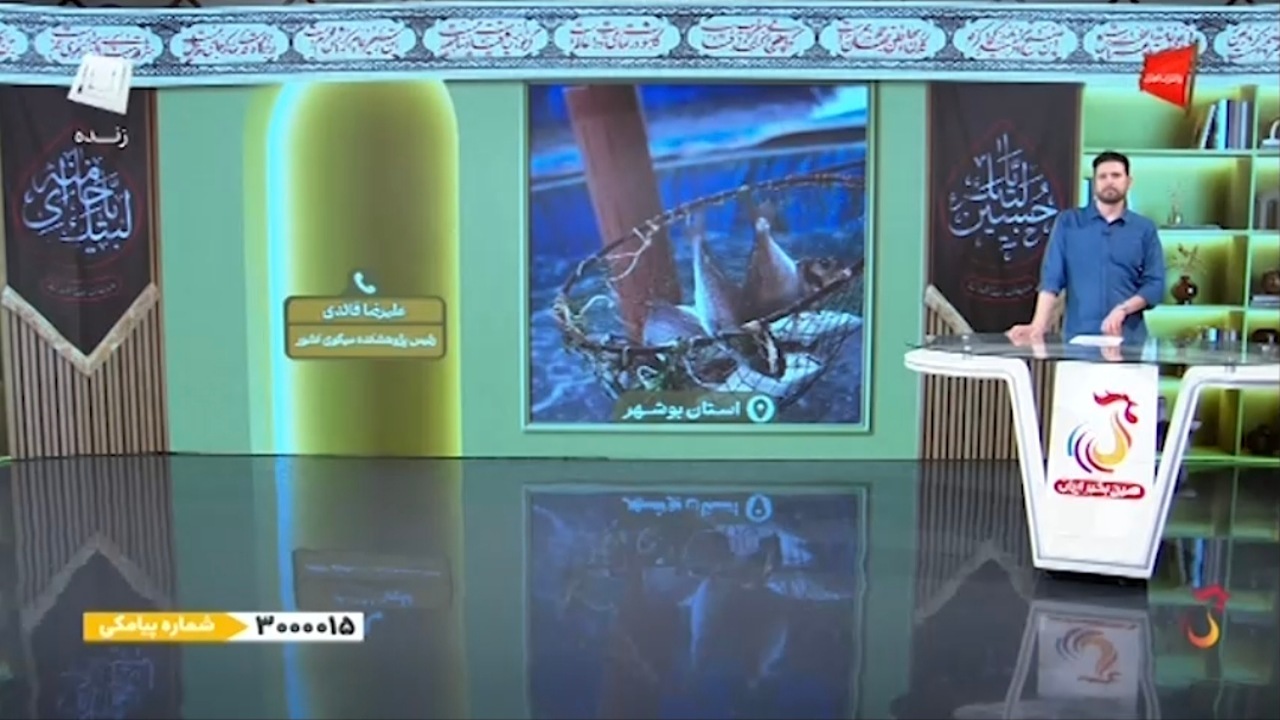 افرادی که به پرورش میگو علاقه‌مند هستند باید چه کنند؟ + فیلم