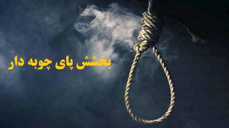 مادر، قاتل پسرش را بخشید