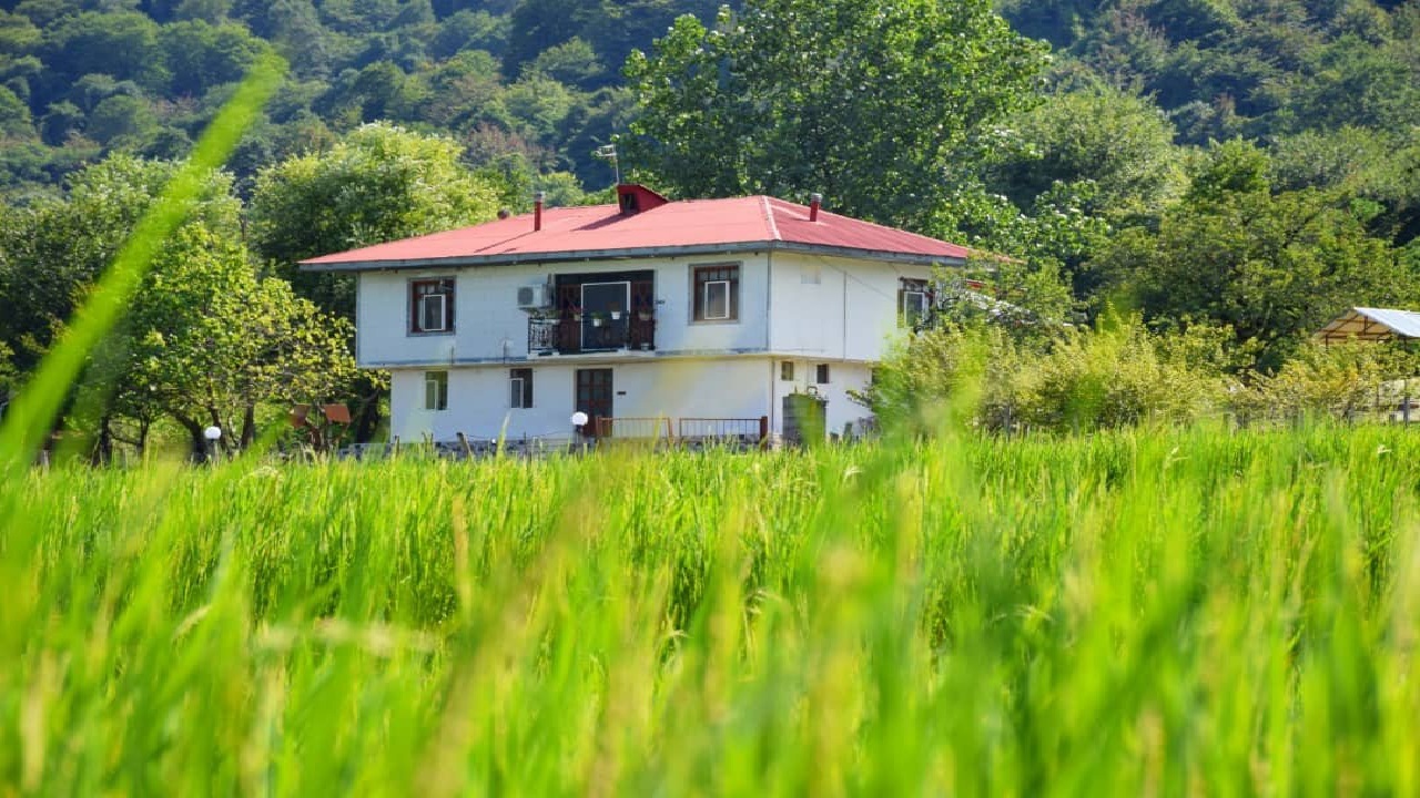 مهلت ثبت مالکیت زمین‌های روستایی گیلان تا پایان شهریور