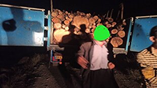 توقیف محموله چوب قاچاق در منطقه حفاظت‌شده «چلچمه‌مه و سارال»