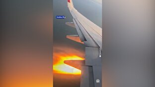 آتش‌سوزی موتور بوئینگ ۷۳۷ پس از برخورد با پرندگان + فیلم