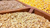 واردکنندگان کالا‌های اساسی خواستار اجرای پرداخت ۵۰ درصد مطالبات هستند