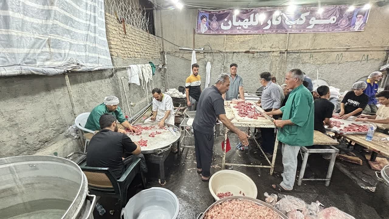 تجلی عشق ثاراللهیان در سرزمین امام مهربانی ها+ تصاویر