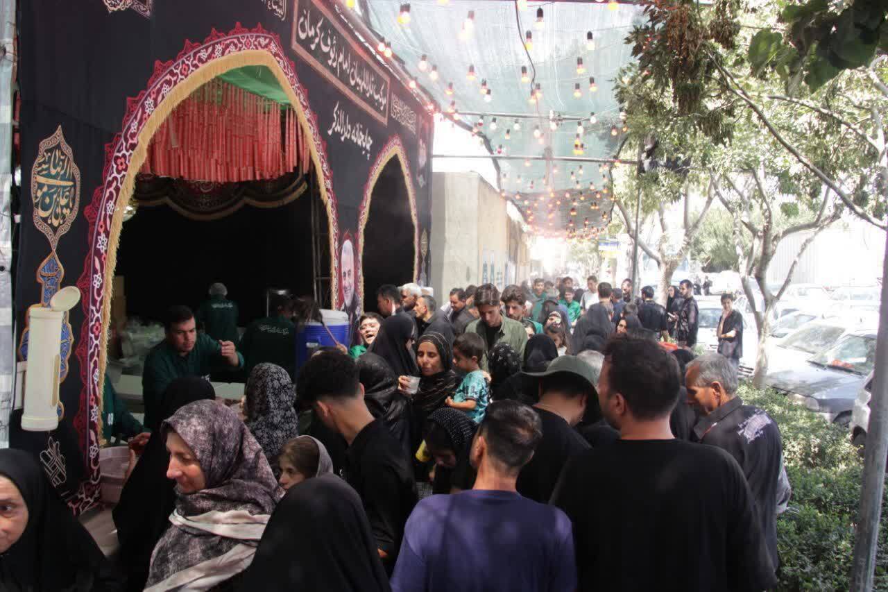 تجلی عشق ثاراللهیان در سرزمین امام مهربانی ها
