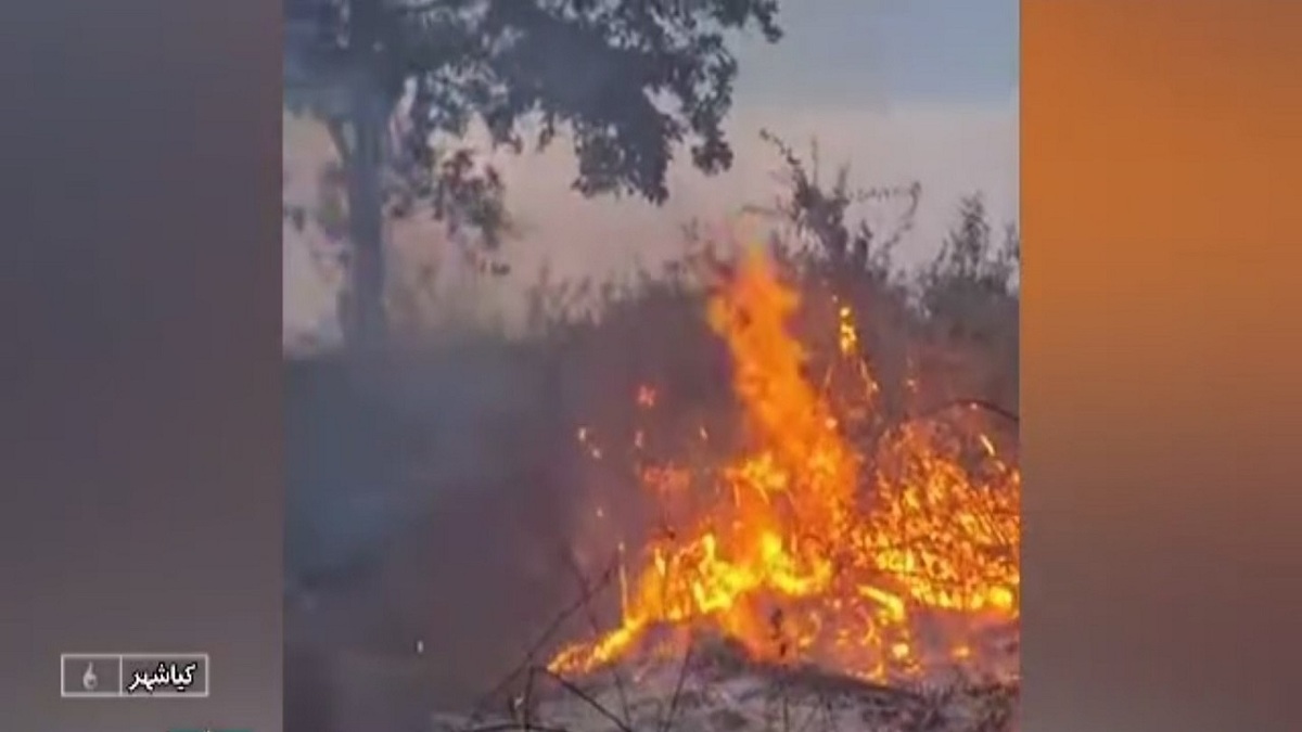 باشگاه خبرنگاران -آتش سوزی در محوطه پارک ملی بوجاق کیاشهر