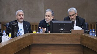 عراقچی: کشور‌های همسایه از مهم‌ترین ظرفیت‌های اقتصادی ایران در شرایط تحریم هستند