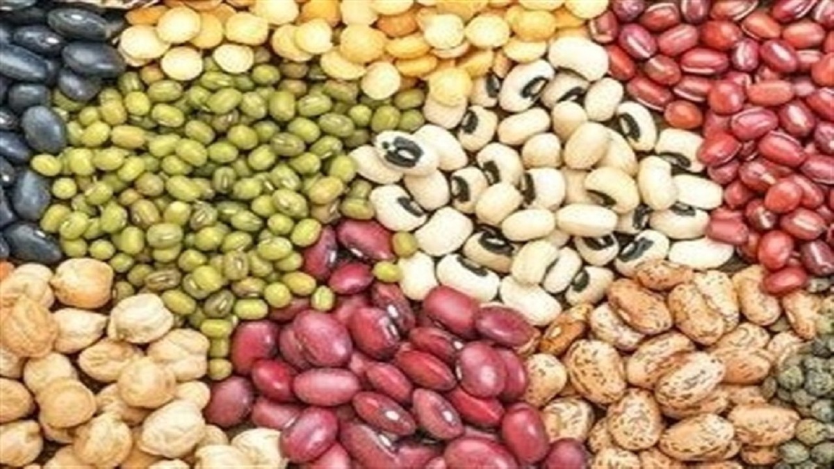 باشگاه خبرنگاران -محاصره دریایی در واردات حبوبات تاثیری ندارد/حبوبات به میزان مکفی در بنادر و انبار‌ها موجود است + فیلم