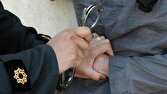 انتقام زن همسایه با طراحی سرقت ۴۵ میلیارد ریالی از منزل دوستش؛ طعمه را به استخر کشاند