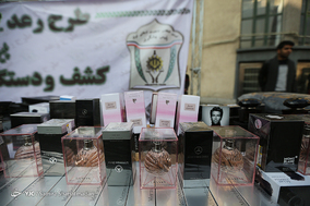 طرح دستگیری سارقان