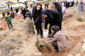 مراسم روز درختکاری در شیراز
