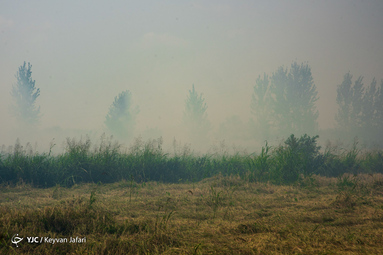 آتش به جان زمین/ آتش زدن مزارع کشاورزی در شمال کشور تهدیدی برای محیط زیست
