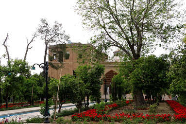 شکوفه های بهار نارنج شیراز