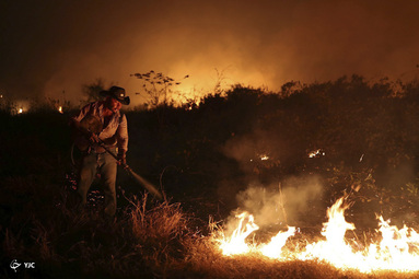 آتش سوزی در یک مزرعه در Pantanal، بزرگترین تالاب جهان در Pocone