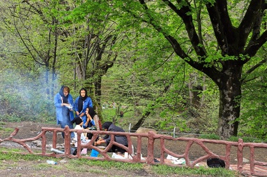 12 بدر کرونایی - جنگل نهارخوران گلستان