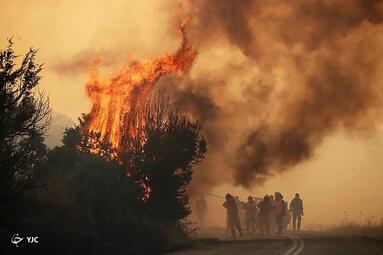 آتش سوزی گسترده در جنگل های یونان