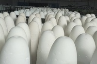 قند کله اعلا یزدی ۵ کیلوگرم 